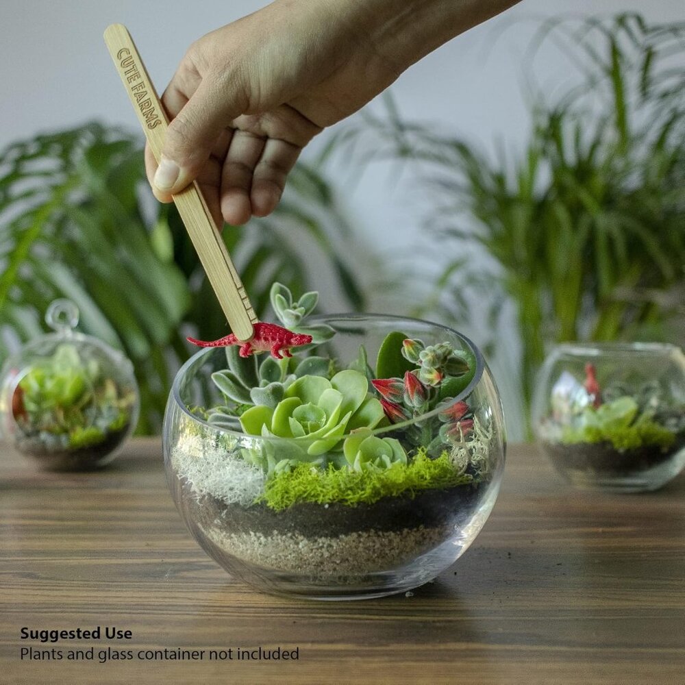 Terrarium Starter Kit | Moss, Vermiculite, Soil, Pebbles, Plant Food, Finishing - Picture 2 of 7